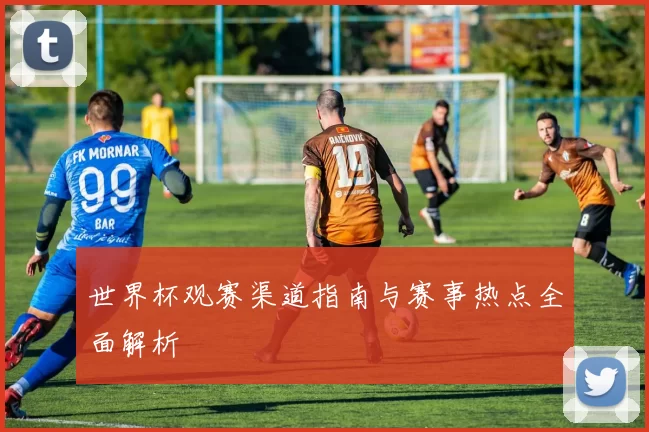 世界杯观赛渠道指南与赛事热点全面解析
