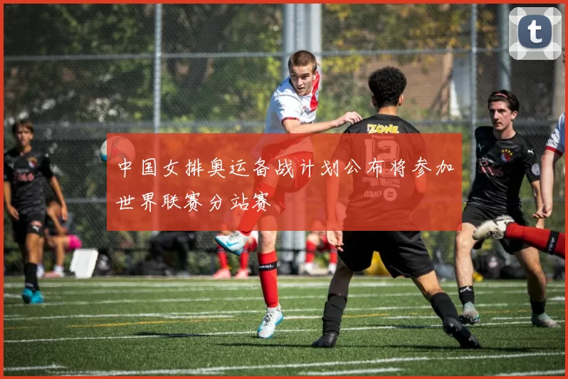 中国女排奥运备战计划公布将参加世界联赛分站赛